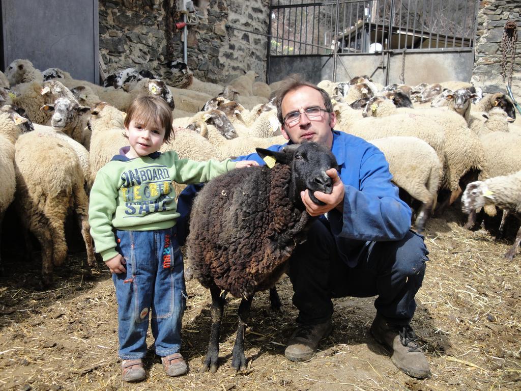 La Cabanya De Cal Forn De Serrat Queralbs Buitenkant foto