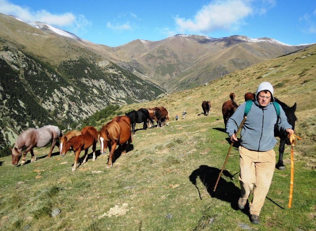 La Cabanya De Cal Forn De Serrat Queralbs Buitenkant foto