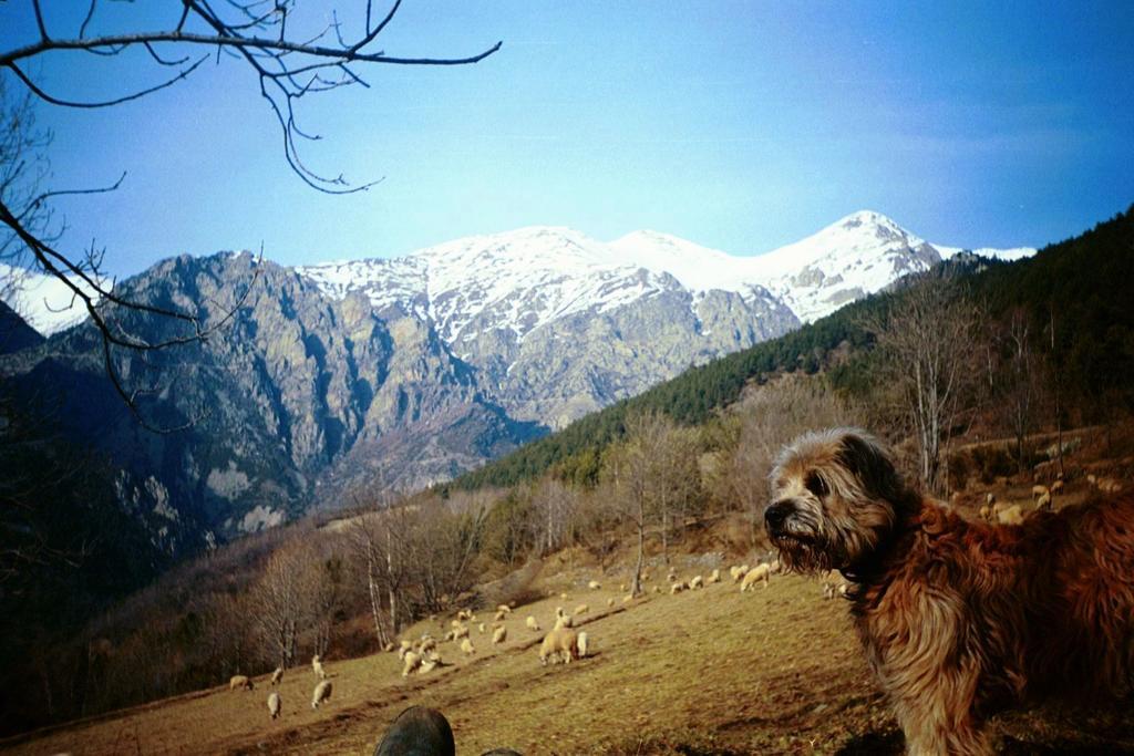La Cabanya De Cal Forn De Serrat Queralbs Buitenkant foto